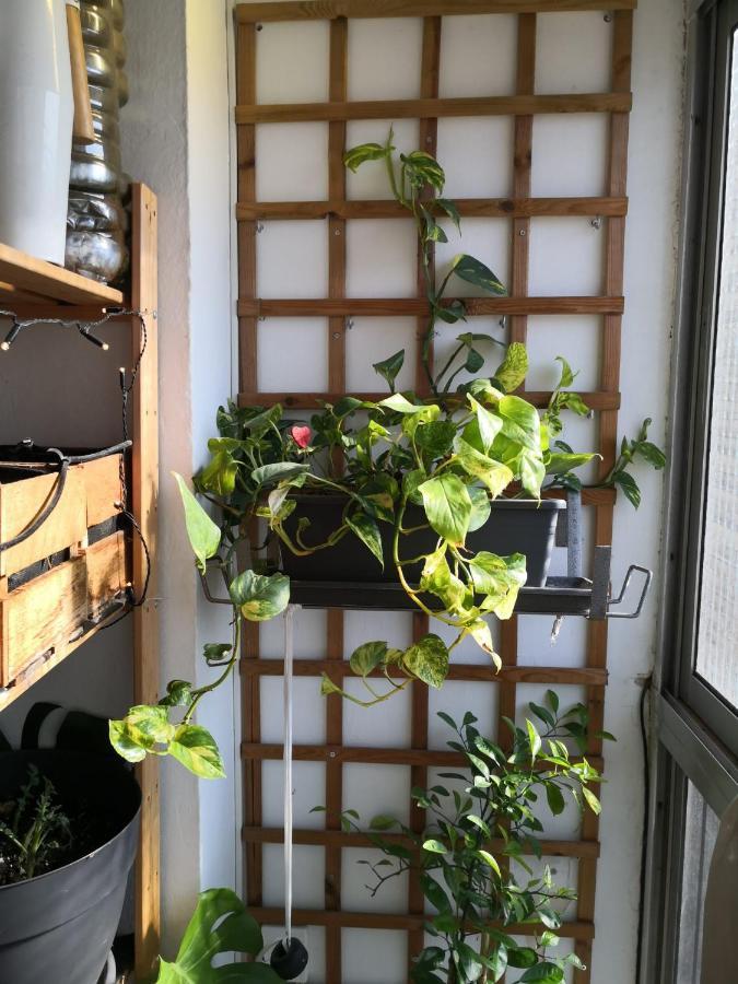 My Quiet House Apartment Malaga Luaran gambar