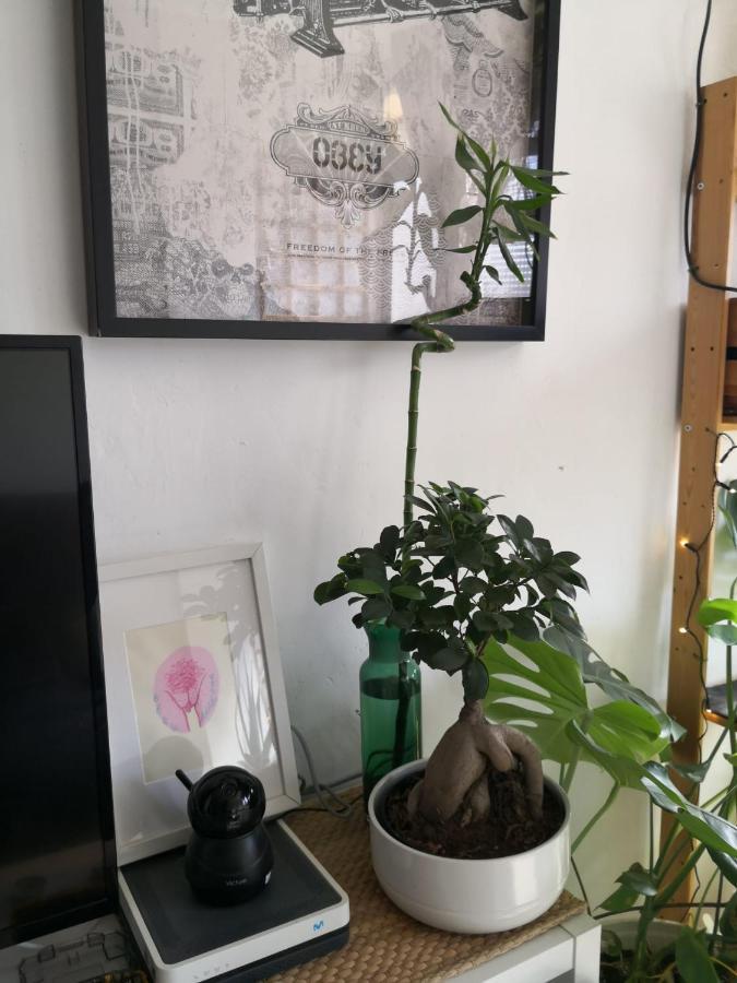 My Quiet House Apartment Malaga Luaran gambar